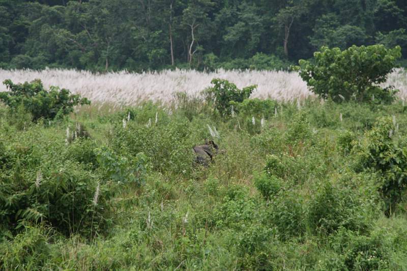 India & Nepal 2011 - 0566